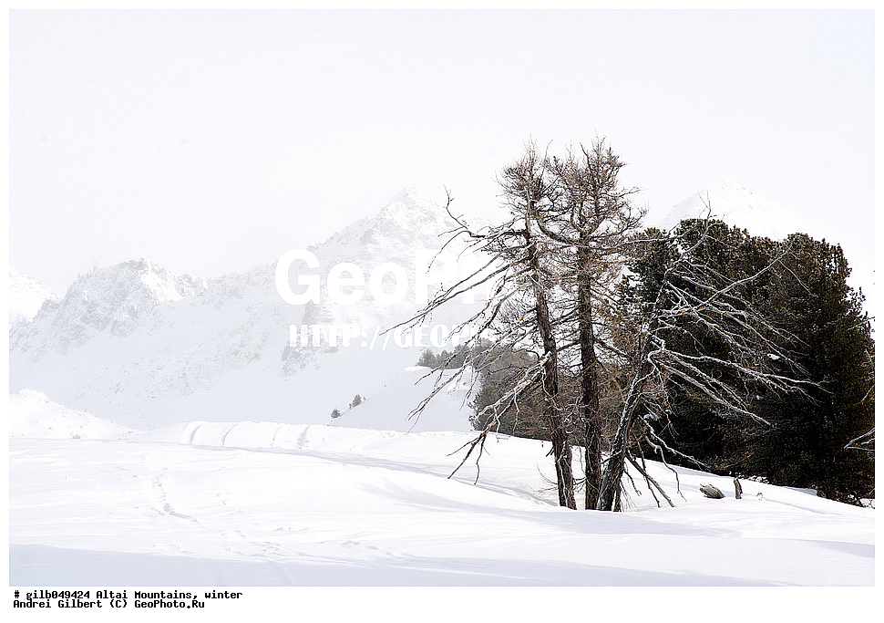 ������ �����, ����, ����, ����, ����, �������, ��������� ���������� ����������
