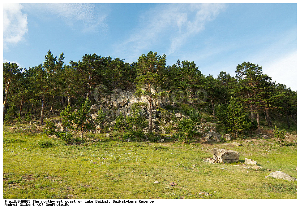 ������, �������, �����, �����, ����, ������