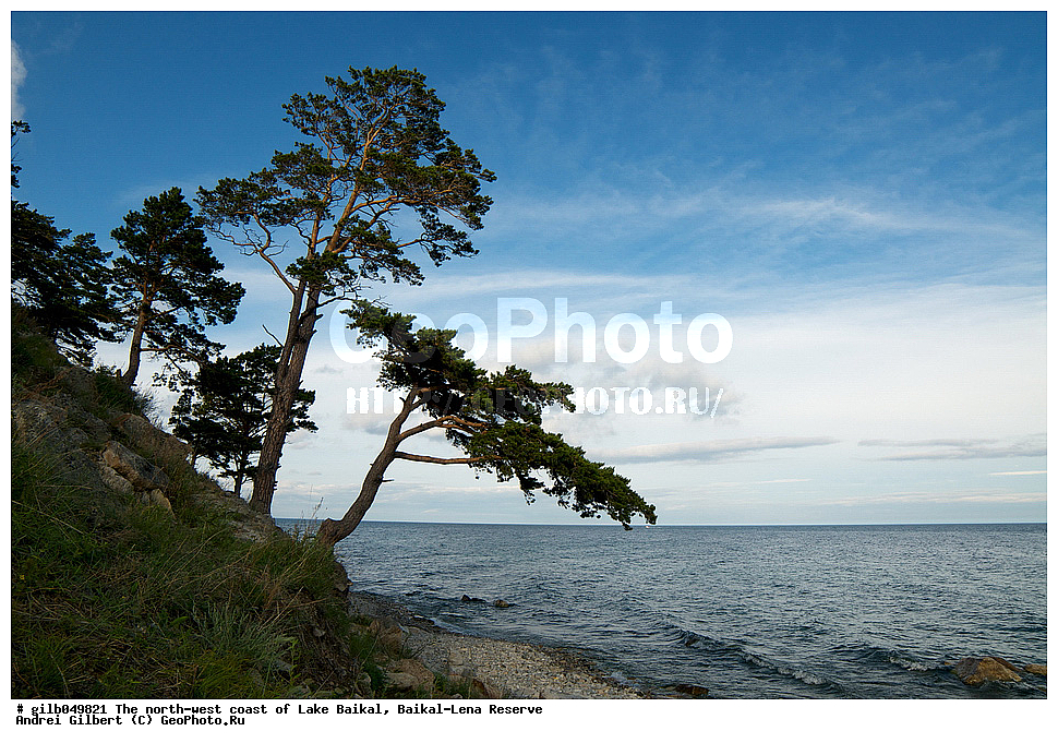   ������, �������-������� ����������, ��������� �������, ����� ������, ����������� ����, �����, �����, ������, �����