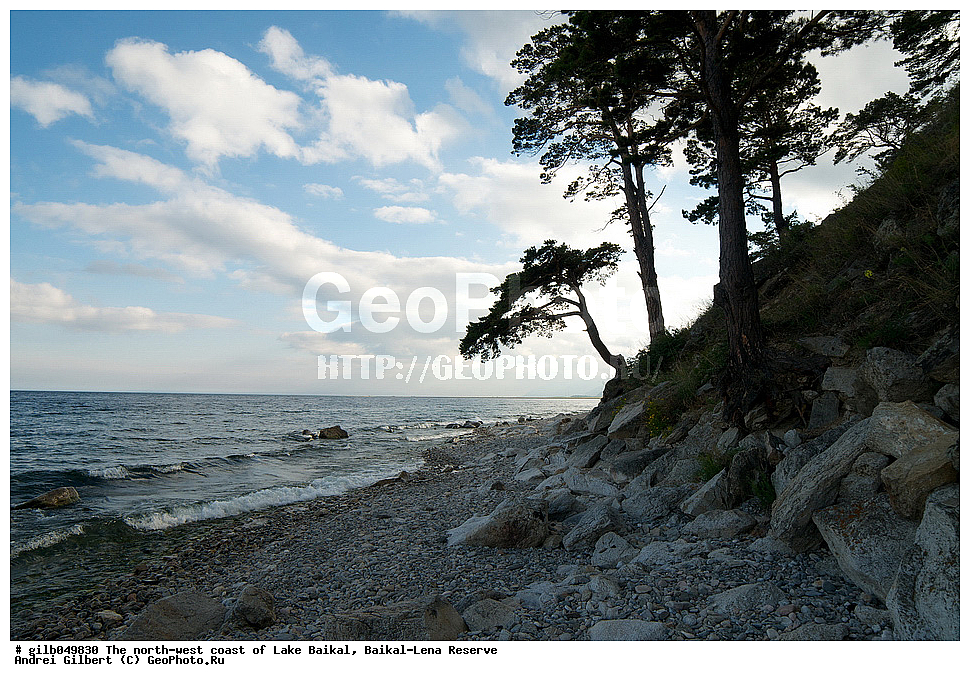  ������, �������-������� ����������, ��������� �������, ����� ������, ����������� ����, �����, �����, ������, �����