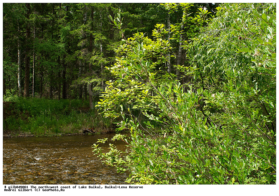 �������-������� ����������, ��������� �������, �������, ������ ����, ����������, �����, ������