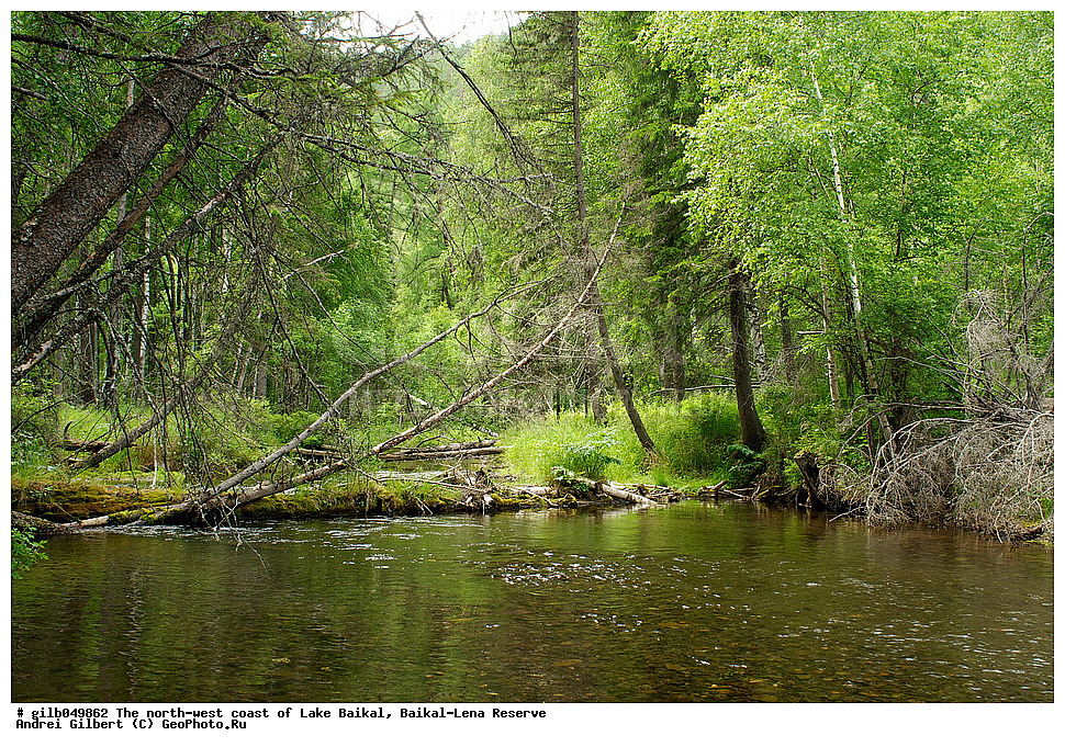 �������-������� ����������, ��������� �������, �������, ������ ����, ����������, �����, ������