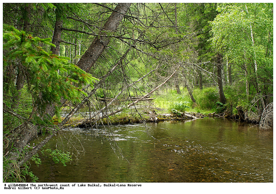 �������-������� ����������, ��������� �������, �������, ������ ����, ����������, �����, ������