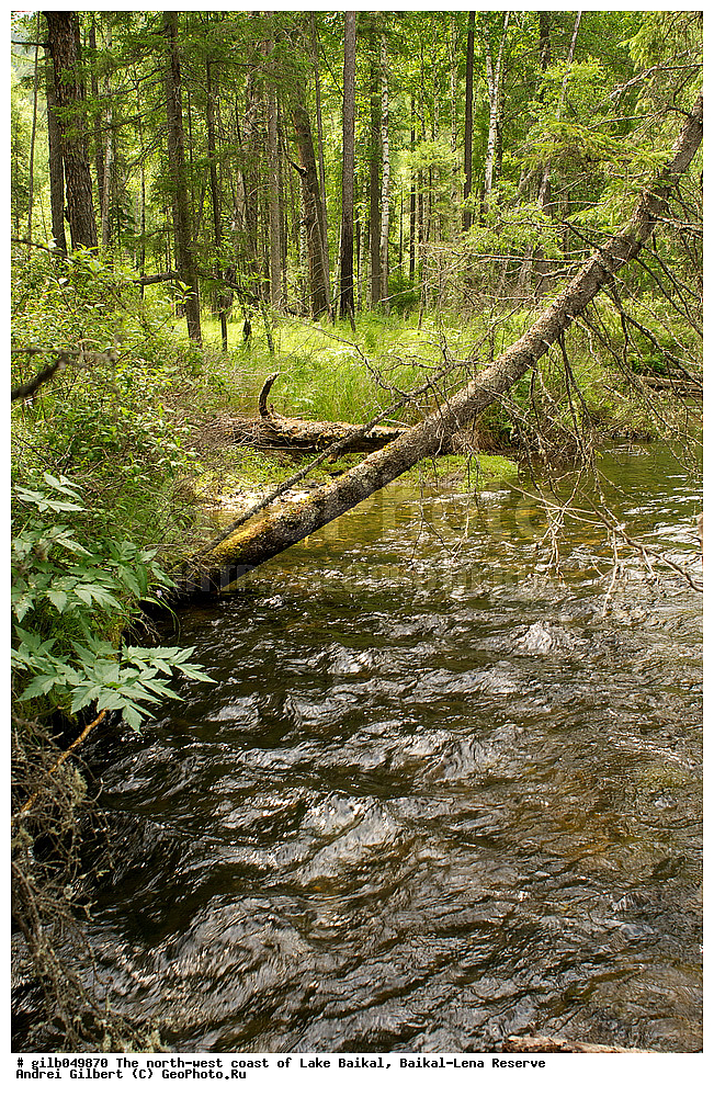 �������-������� ����������, ��������� �������, �������, ������ ����, ����������, �����, ������