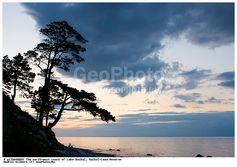  ������, �������-������� ����������, ��������� �������, ����� ������, ����������� ����, �����, �����