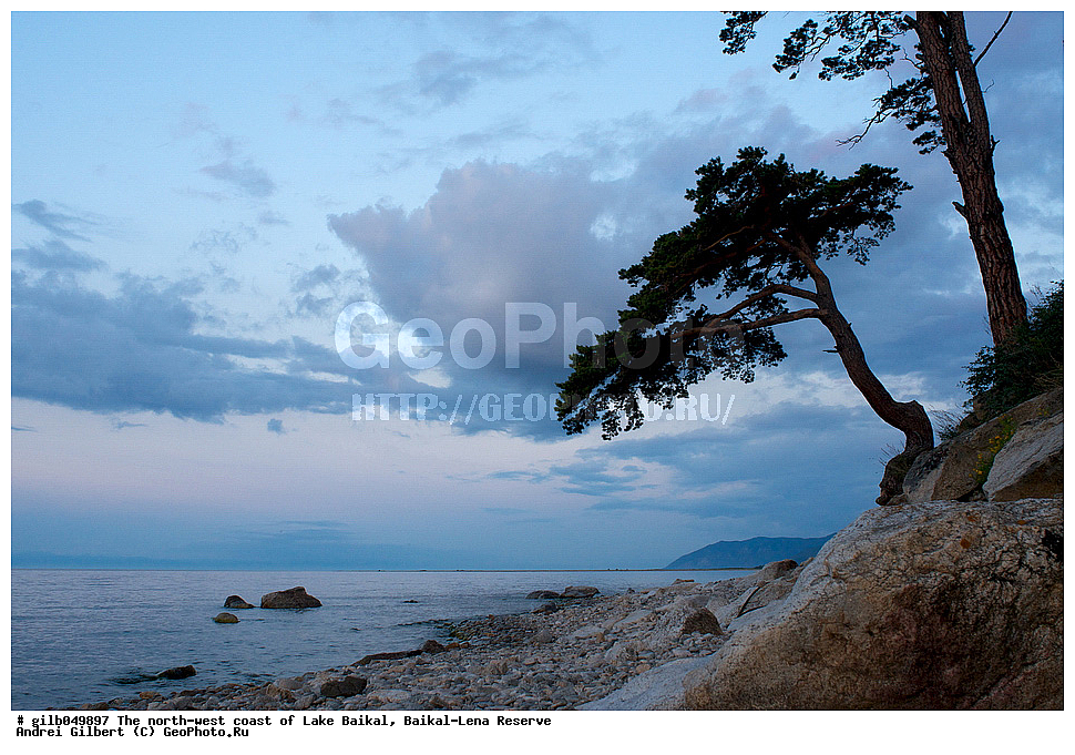  ������, �������-������� ����������, ��������� �������, ����� ������, ����������� ����, �����, �����, ������, �����