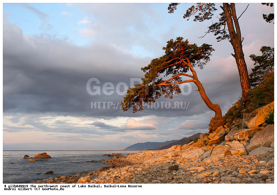  ������, �������-������� ����������, ��������� �������, ����� ������, ����������� ����, �����, �����, ������, �����, �������, �������, ������