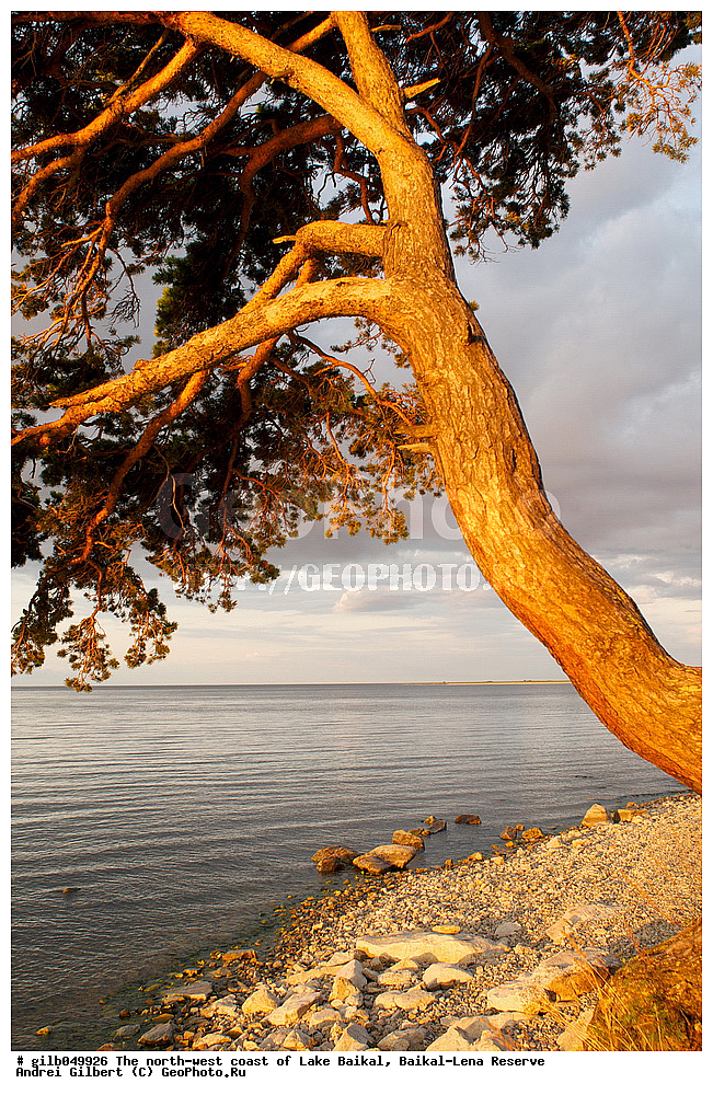  ������, �������-������� ����������, ��������� �������, ����� ������, ����������� ����, �����, �����, �����, ������, �������