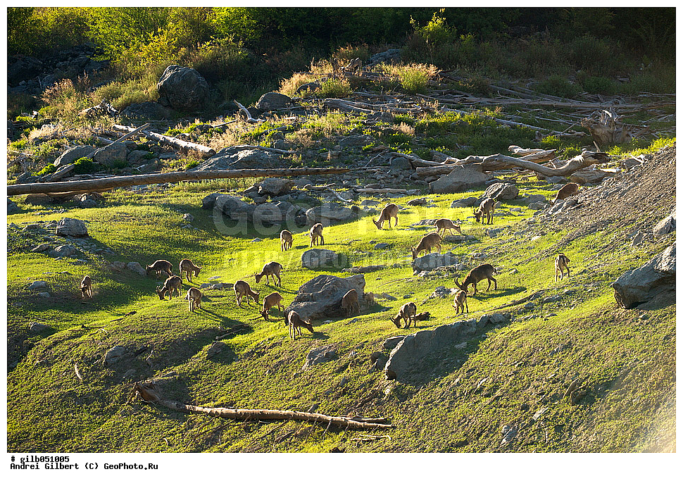 �������, ��������� ������ �����,  �������� ���� 