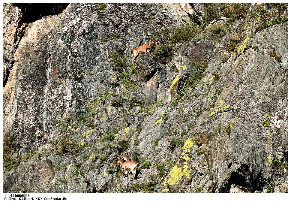 �������, ��������� ������ �����,  �������� ���� 