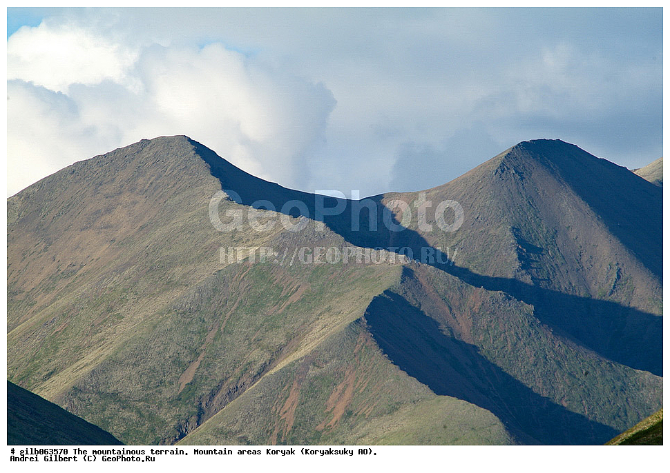 ������ ��������,����, �������,  ���������� ��, ����, ������ � ����, �������, ������, ������� ������