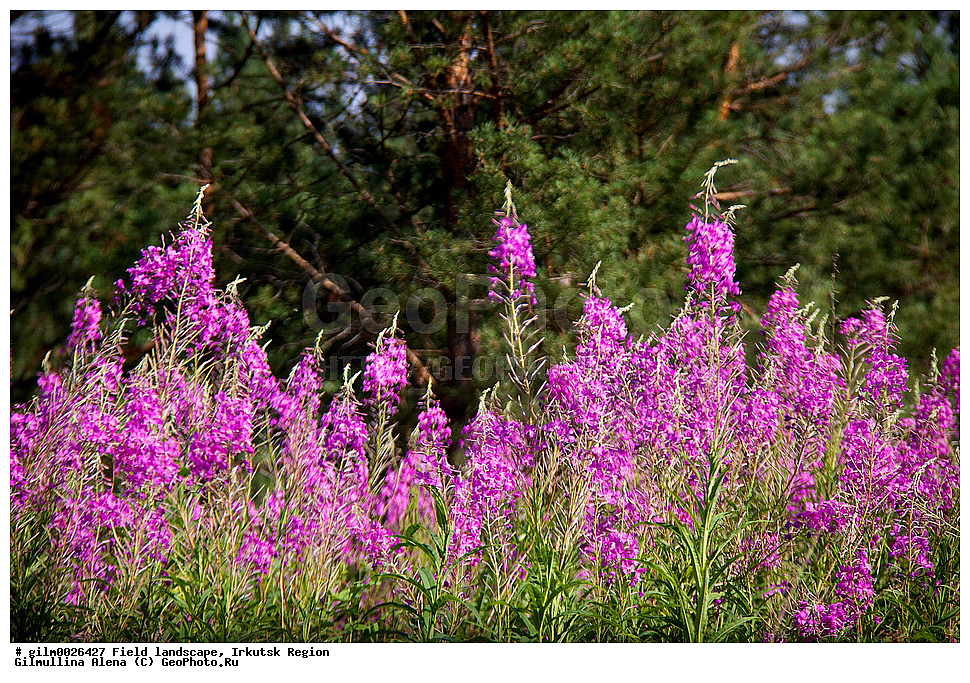  ������� ��������, ��������� �������, ��������� ����������, ������, ������-�����