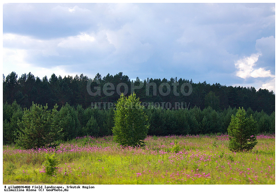  ������� ��������, ��������� �������