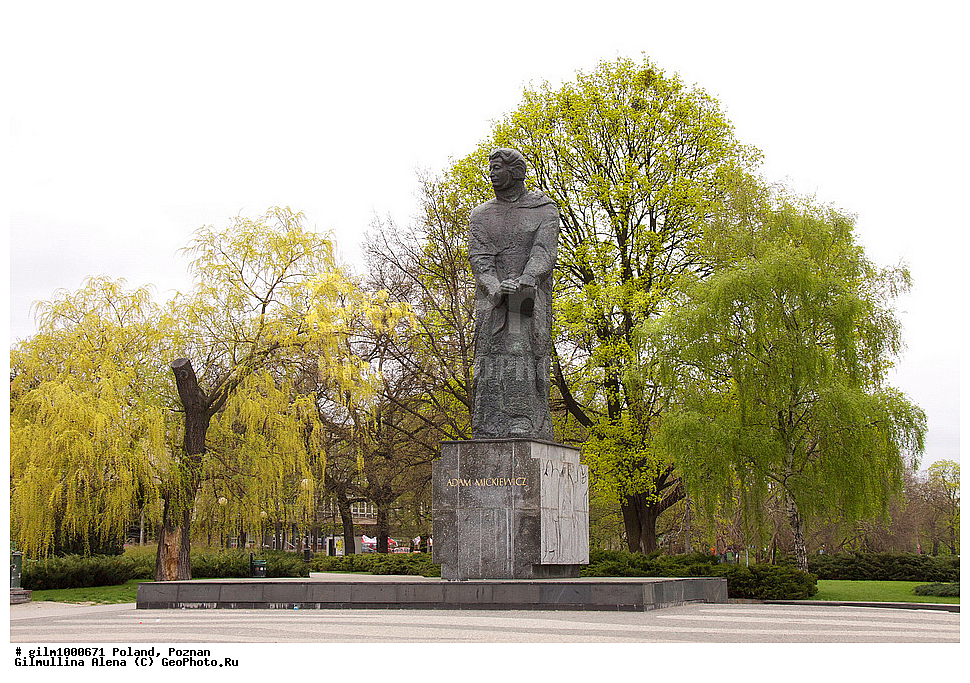 ������, �������, ��������, ���� ��������