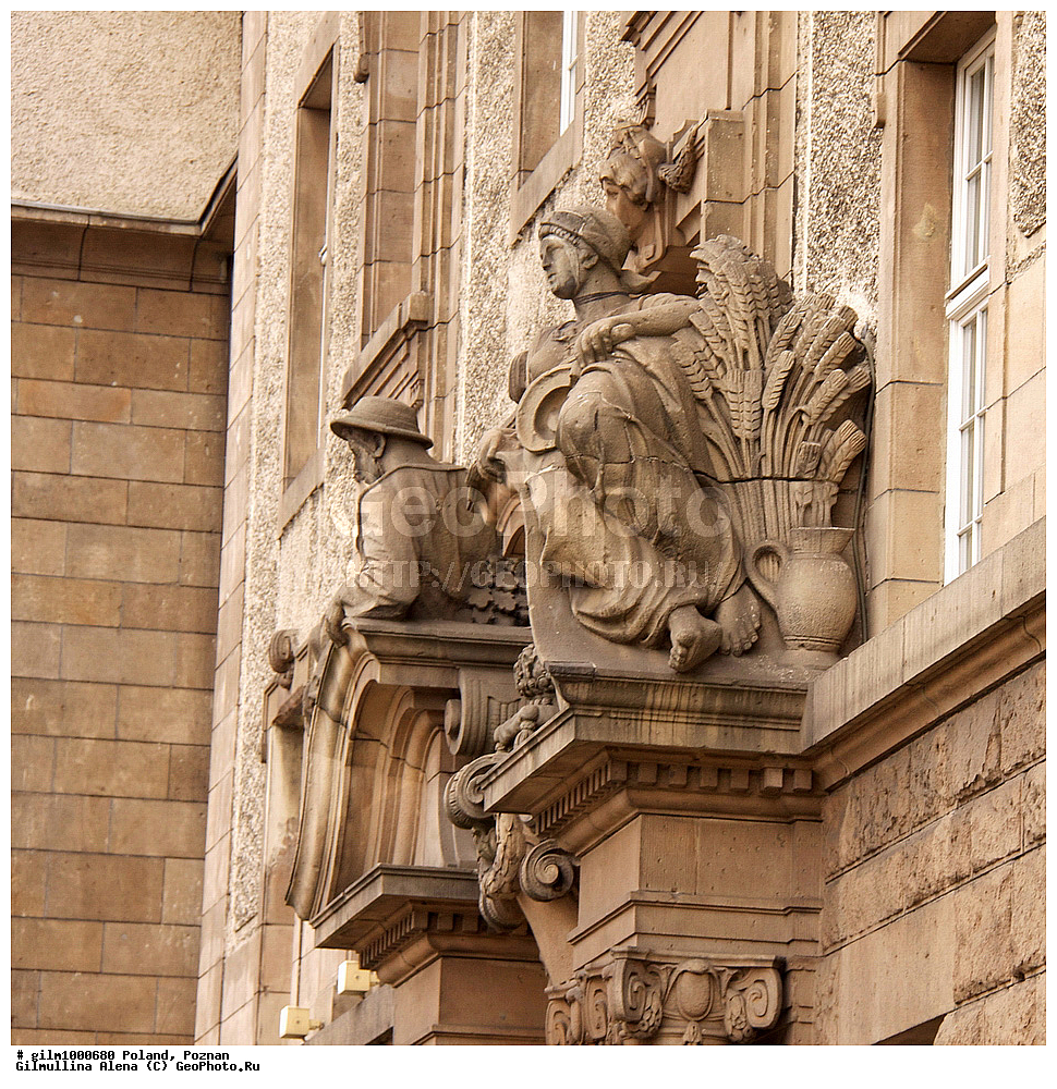 ������, �������, �����������, ����������