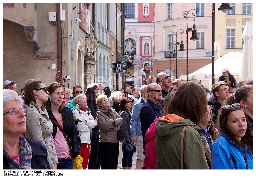 ������, �������, ������ �����, ����, �������