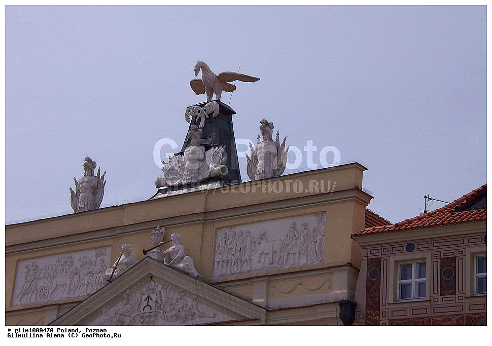 ������, �������, ������ �����, ����������, �����, ������