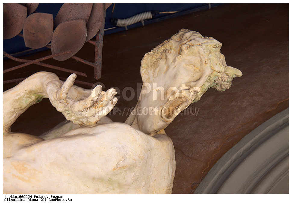 ������, �������, ����������