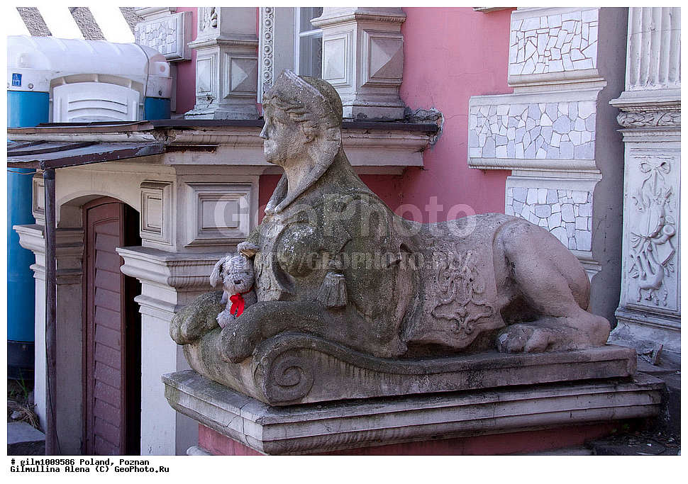 ������, �������, ������, ����������