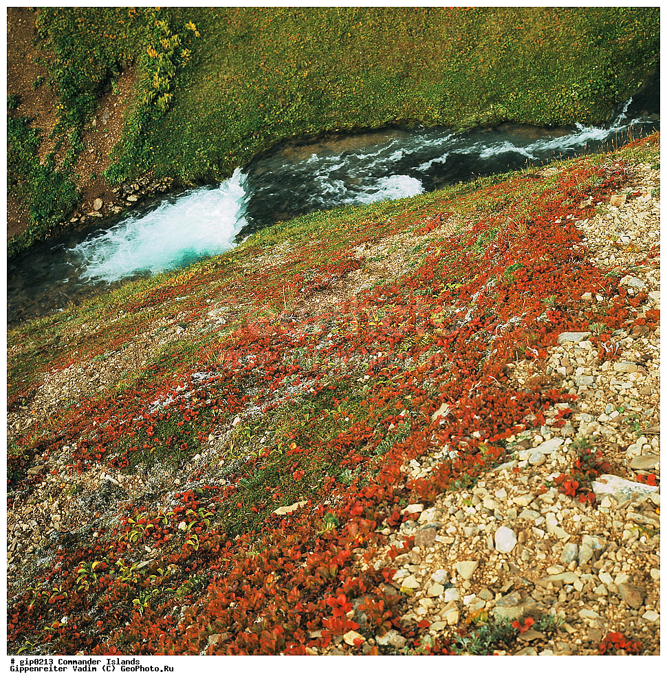 ������������ �������, �������� ����������,  1971 �, ������, ������� ������, ������ �������, ��������� ����, ���� �������, ������� � ������, ��������, ��������, ����� �����, ���������� ���� ������, ���������, ����������, ������������ ����������, ��������� ����