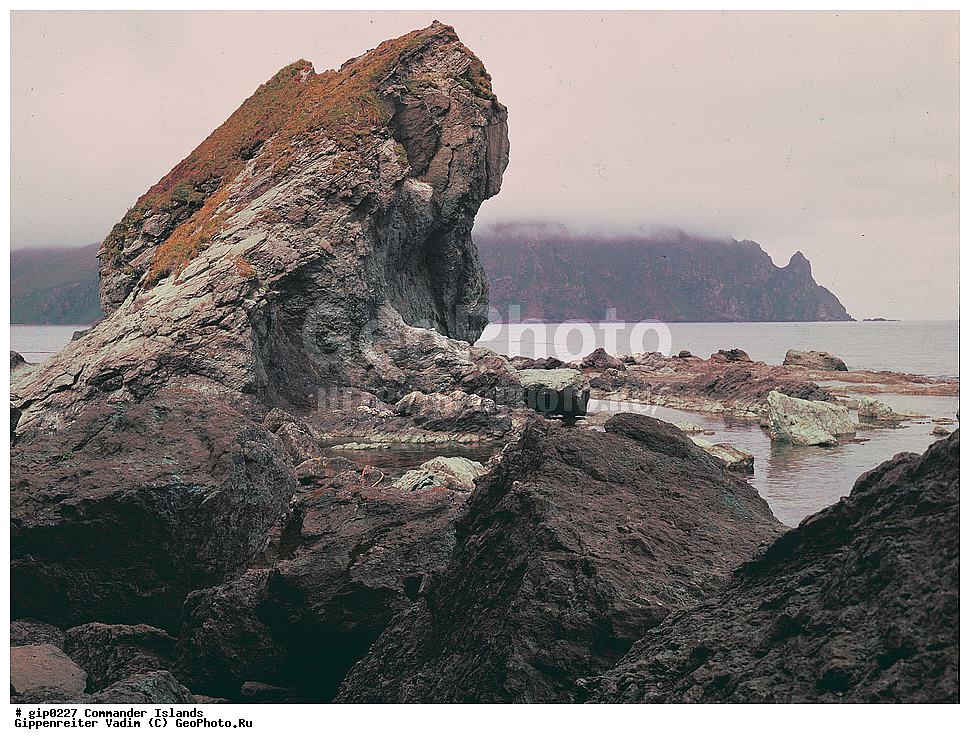 ������������ �������, �������� ����������,  1971 �, ������, ������� ������, ������ �������, ��������� ����, ���� �������, ������� � ������, ��������, ��������, ����� �����, ���������� ���� ������, ���������, ����������, ������������ ����������, ��������� ����