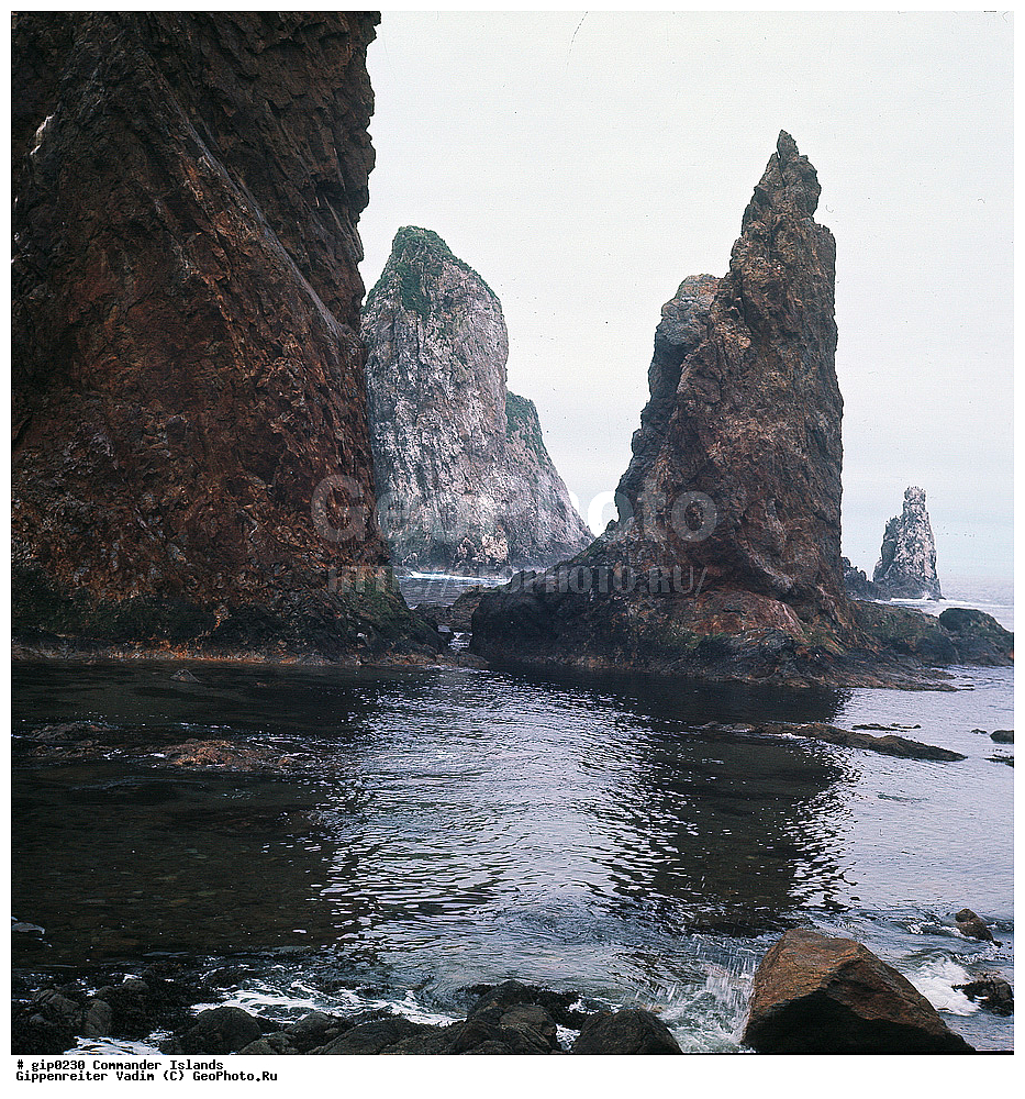 ������������ �������, �������� ����������,  1971 �, ������, ������� ������, ������ �������, ��������� ����, ���� �������, ������� � ������, ��������, ��������, ����� �����, ���������� ���� ������, ���������, ����������, ������������ ����������, ��������� ����