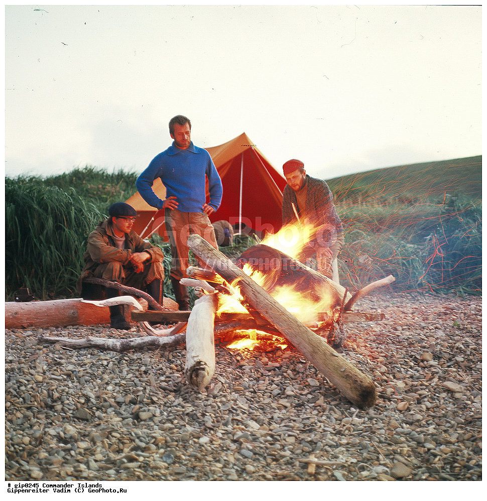 ������������ �������, �������� ����������,  1971 �, ������, ������� ������, ������ �������, ��������� ����, ���� �������, ������� � ������, ��������, ��������, ����� �����, ���������� ���� ������, ���������, ����������, ������������ ����������, ��������� ����