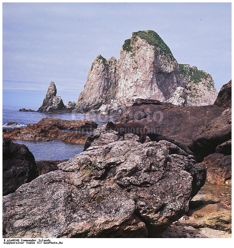 ������������ �������, �������� ����������,  1971 �, ������, ������� ������, ������ �������, ��������� ����, ���� �������, ������� � ������, ��������, ��������, ����� �����, ���������� ���� ������, ���������, ����������, ������������ ����������, ��������� ����