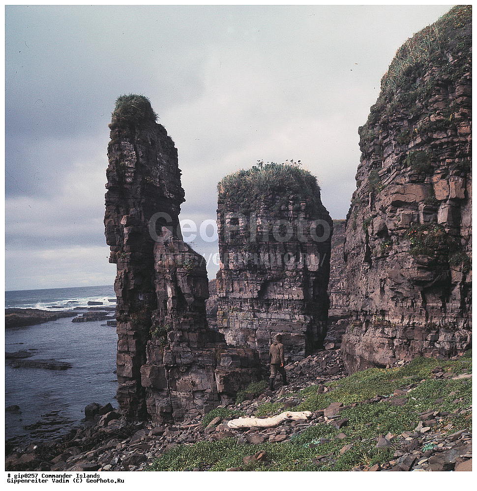 ������������ �������, �������� ����������,  1971 �, ������, ������� ������, ������ �������, ��������� ����, ���� �������, ������� � ������, ��������, ��������, ����� �����, ���������� ���� ������, ���������, ����������, ������������ ����������, ��������� ����