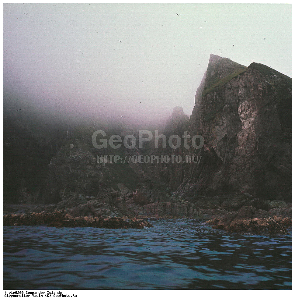 ������������ �������, �������� ����������,  1971 �, ������, ������� ������, ������ �������, ��������� ����, ���� �������, ������� � ������, ��������, ��������, ����� �����, ���������� ���� ������, ���������, ����������, ������������ ����������, ��������� ����