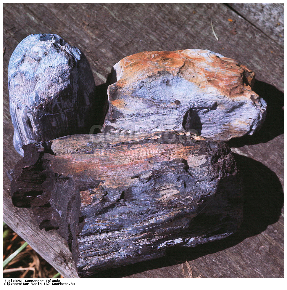 ������������ �������, �������� ����������,  1971 �, ������, ������� ������, ������ �������, ��������� ����, ���� �������, ������� � ������, ��������, ��������, ����� �����, ���������� ���� ������, ���������, ����������, ������������ ����������, ��������� ����