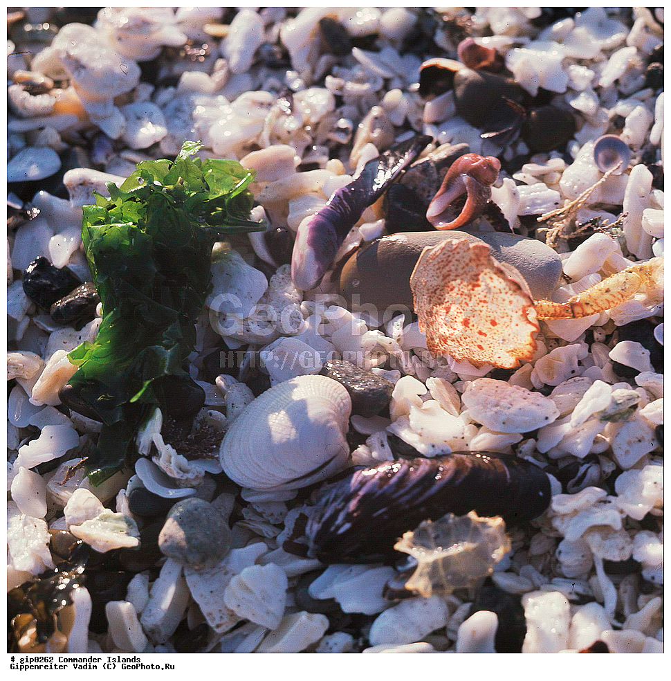 ������������ �������, �������� ����������,  1971 �, ������, ������� ������, ������ �������, ��������� ����, ���� �������, ������� � ������, ��������, ��������, ����� �����, ���������� ���� ������, ���������, ����������, ������������ ����������, ��������� ����