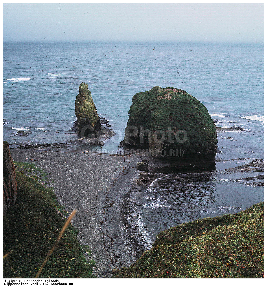 ������������ �������, �������� ����������,  1971 �, ������, ������� ������, ������ �������, ��������� ����, ���� �������, ������� � ������, ��������, ��������, ����� �����, ���������� ���� ������, ���������, ����������, ������������ ����������, ��������� ����