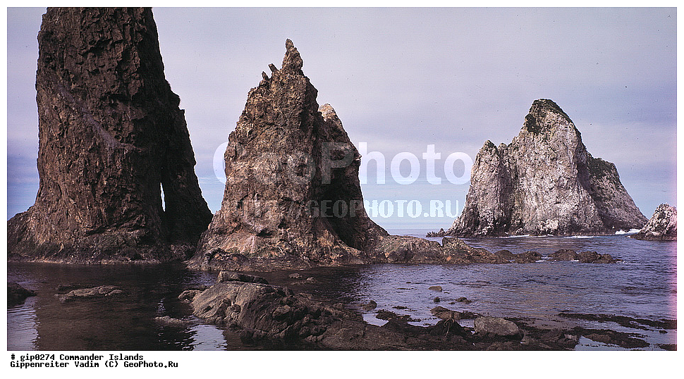 ������������ �������, �������� ����������,  1971 �, ������, ������� ������, ������ �������, ��������� ����, ���� �������, ������� � ������, ��������, ��������, ����� �����, ���������� ���� ������, ���������, ����������, ������������ ����������, ��������� ����