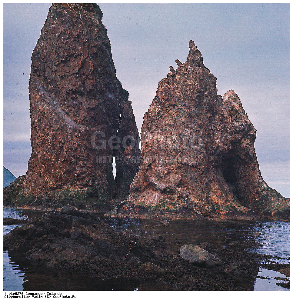 ������������ �������, �������� ����������,  1971 �, ������, ������� ������, ������ �������, ��������� ����, ���� �������, ������� � ������, ��������, ��������, ����� �����, ���������� ���� ������, ���������, ����������, ������������ ����������, ��������� ����