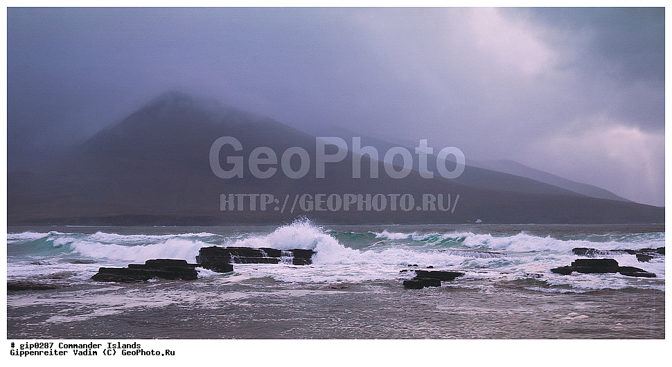 ������������ �������, �������� ����������,  1971 �, ������, ������� ������, ������ �������, ��������� ����, ���� �������, ������� � ������, ��������, ��������, ����� �����, ���������� ���� ������, ���������, ����������, ������������ ����������, ��������� ����