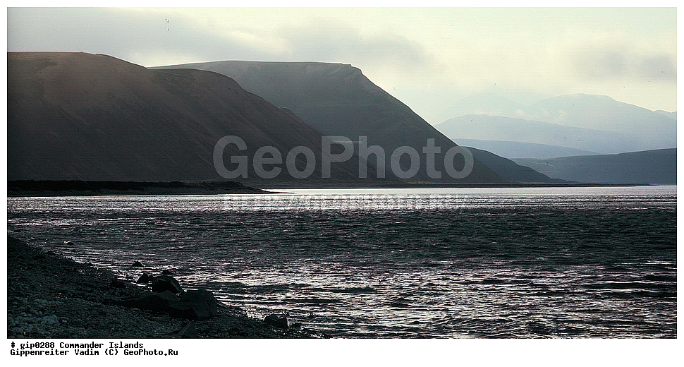 ������������ �������, �������� ����������,  1971 �, ������, ������� ������, ������ �������, ��������� ����, ���� �������, ������� � ������, ��������, ��������, ����� �����, ���������� ���� ������, ���������, ����������, ������������ ����������, ��������� ����