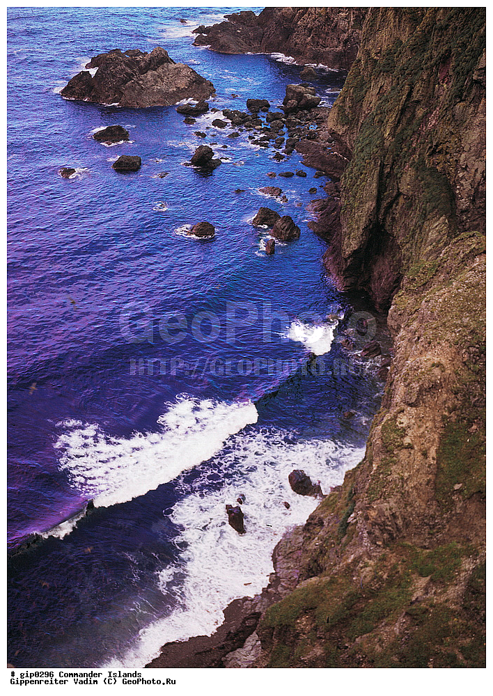 ������������ �������, �������� ����������,  1971 �, ������, ������� ������, ������ �������, ��������� ����, ���� �������, ������� � ������, ��������, ��������, ����� �����, ���������� ���� ������, ���������, ����������, ������������ ����������, ��������� ����