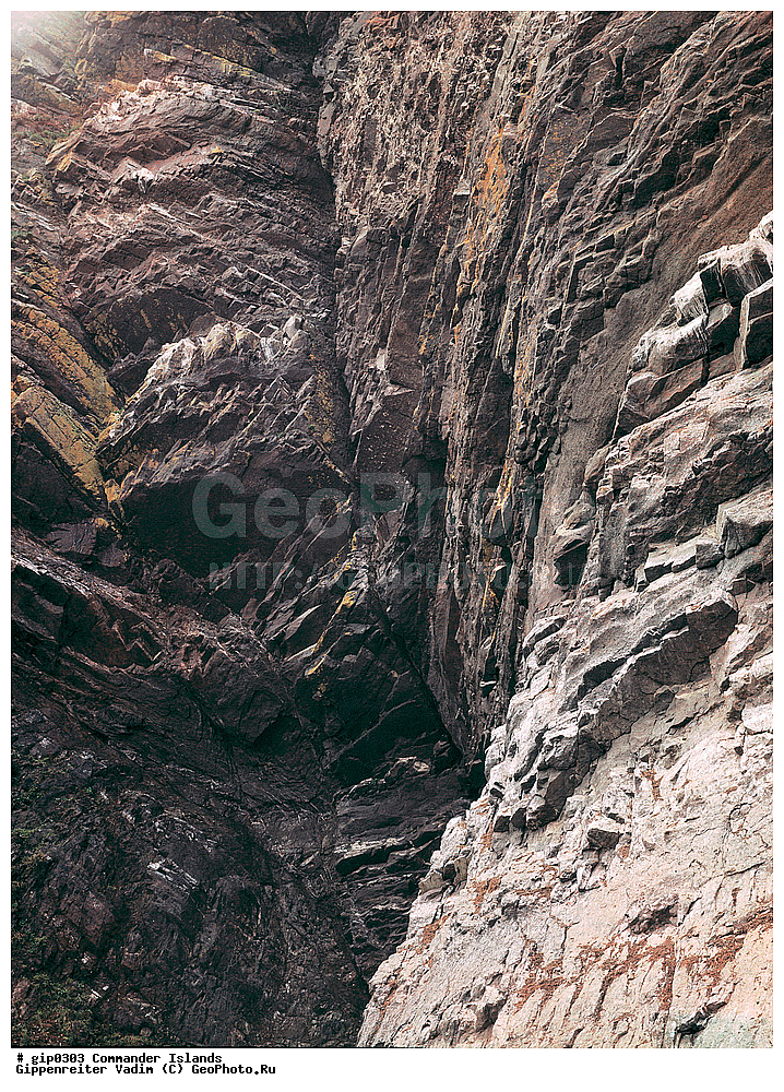 ������������ �������, �������� ����������,  1971 �, ������, ������� ������, ������ �������, ��������� ����, ���� �������, ������� � ������, ��������, ��������, ����� �����, ���������� ���� ������, ���������, ����������, ������������ ����������, ��������� ����