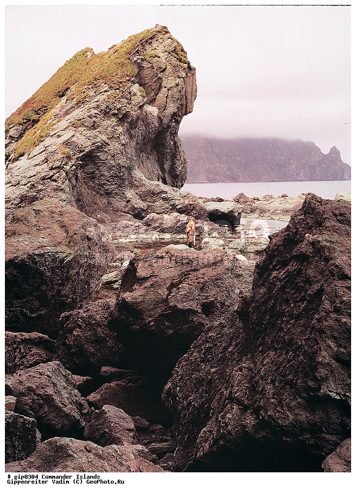 ������������ �������, �������� ����������,  1971 �, ������, ������� ������, ������ �������, ��������� ����, ���� �������, ������� � ������, ��������, ��������, ����� �����, ���������� ���� ������, ���������, ����������, ������������ ����������, ��������� ����