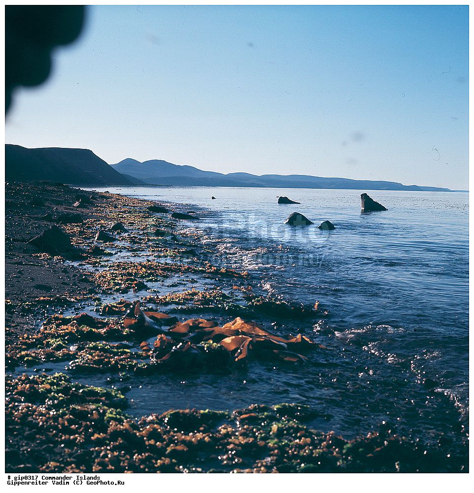 ������������ �������, �������� ����������,  1971 �, ������, ������� ������, ������ �������, ��������� ����, ���� �������, ������� � ������, ��������, ��������, ����� �����, ���������� ���� ������, ���������, ����������, ������������ ����������, ��������� ����