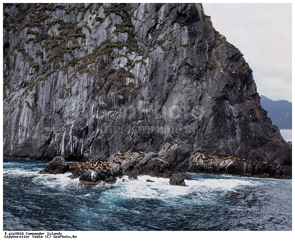 ������������ �������, �������� ����������,  1971 �, ������, ������� ������, ������ �������, ��������� ����, ���� �������, ������� � ������, ��������, ��������, ����� �����, ���������� ���� ������, ���������, ����������, ������������ ����������, ��������� ����