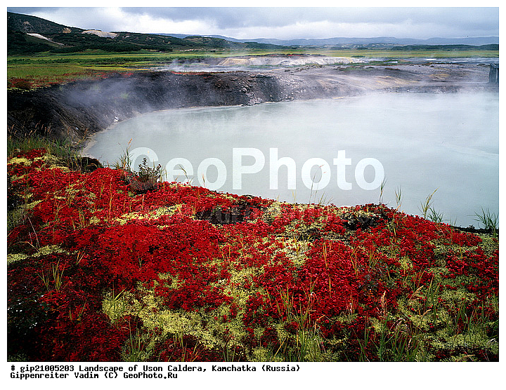 �������������, ��������, ����, ������, ���������, ��������, �������, �����, ������, ��������, ���������� ��������, ���������� ����, ��������, ������, ������� ������