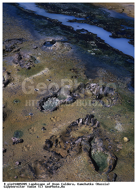 �������������, ��������, ����, ������, ���������, ������, ��������, ������, ���������� ��������, ���������� ����, ��������, ������, ������� ������