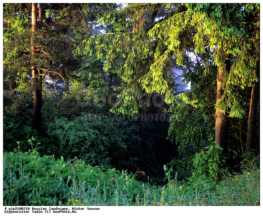 ����� ������������, ������� ����, ����, ������