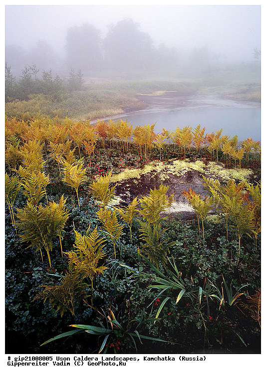 �������������, ��������, ����, ���������, ��������, �������, �����, ������, �������� ������, ���������� ��������, ���������� ����, ��������, ������, ������� ������