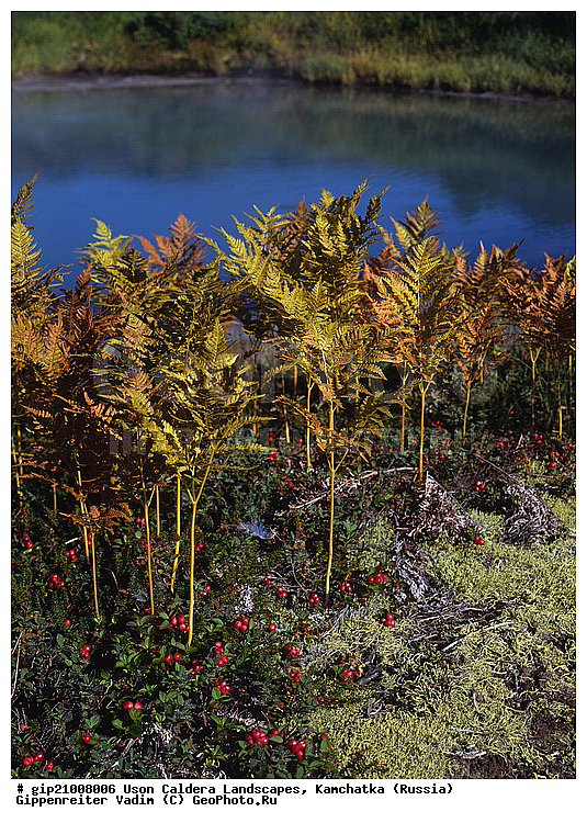 �������������, ��������, ����, ���������, ��������, �������, �����, ������, �������� ������, ���������� ��������, ���������� ����, ��������, ������, ������� ������