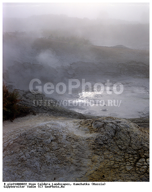 �������������, ��������, ����, ���������, ��������, �������, �����, ������, �������� ������, ���������� ��������, ���������� ����, ��������, ������, ������� ������