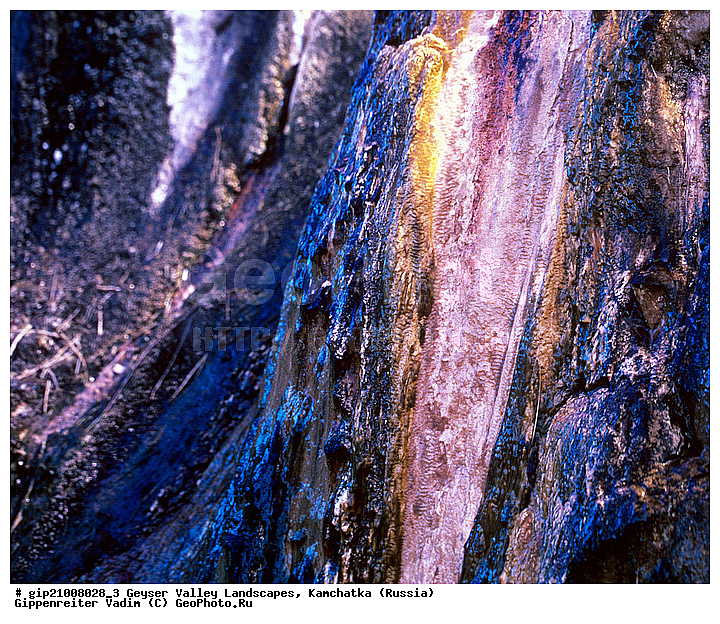 �������������, ������ �������, ��������, ���������, �������������, ������, ���������� ��������, ���������� ����, ��������, ������, ������� ������