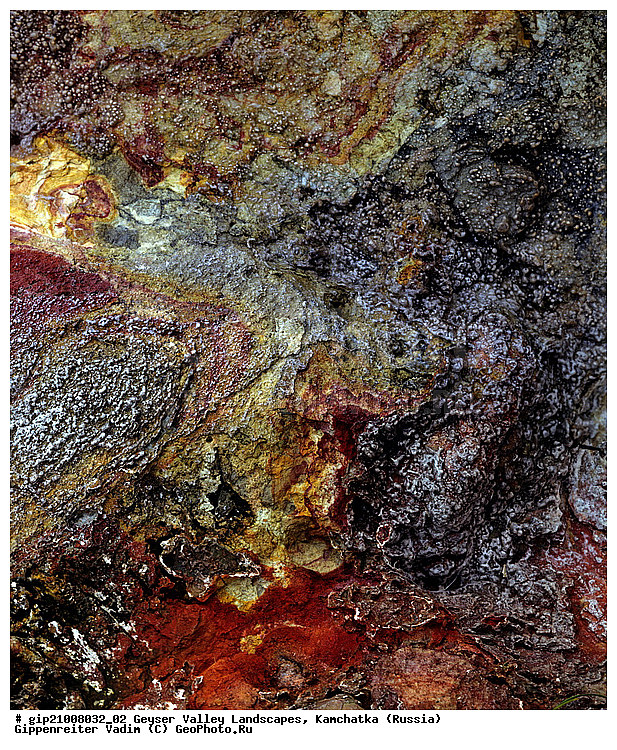 �������������, ������ �������, ��������, ���������, �������������, ������, ���������� ��������, ���������� ����, ��������, ������, ������� ������